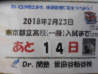 2018年2月12日（月）～2月17日（土）の予定